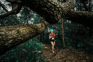 BIB: 
                            <button type="button" onclick="openModal(25701181)" class="btn btn-primary btn-sm float-right btn-popup" data-toggle="modal" data-target=".modal-high-quality">
                        <i class="fas fa-shopping-cart"></i> Add to Cart
                    </button>
                                            <button type="button" onclick="isThisMe(25701181, true)" class="btn btn-success btn-sm float-right btn-popup btn-isme hidden" data-toggle="tooltip" data-placement="bottom" title="นี่คือรูปของคุณใช่ไหม คลิกที่นี่เพื่อเอาเข้าอัลบั้ม">
                        <i class="fas fa-plus"></i> Add to album
                    </button>
                    <button type="button" onclick="isThisMe(25701181, false)" class="btn btn-warning btn-sm float-right btn-popup btn-isnotme hidden">
                        <i class="fas fa-ban"></i> Remove from album
                    </button>